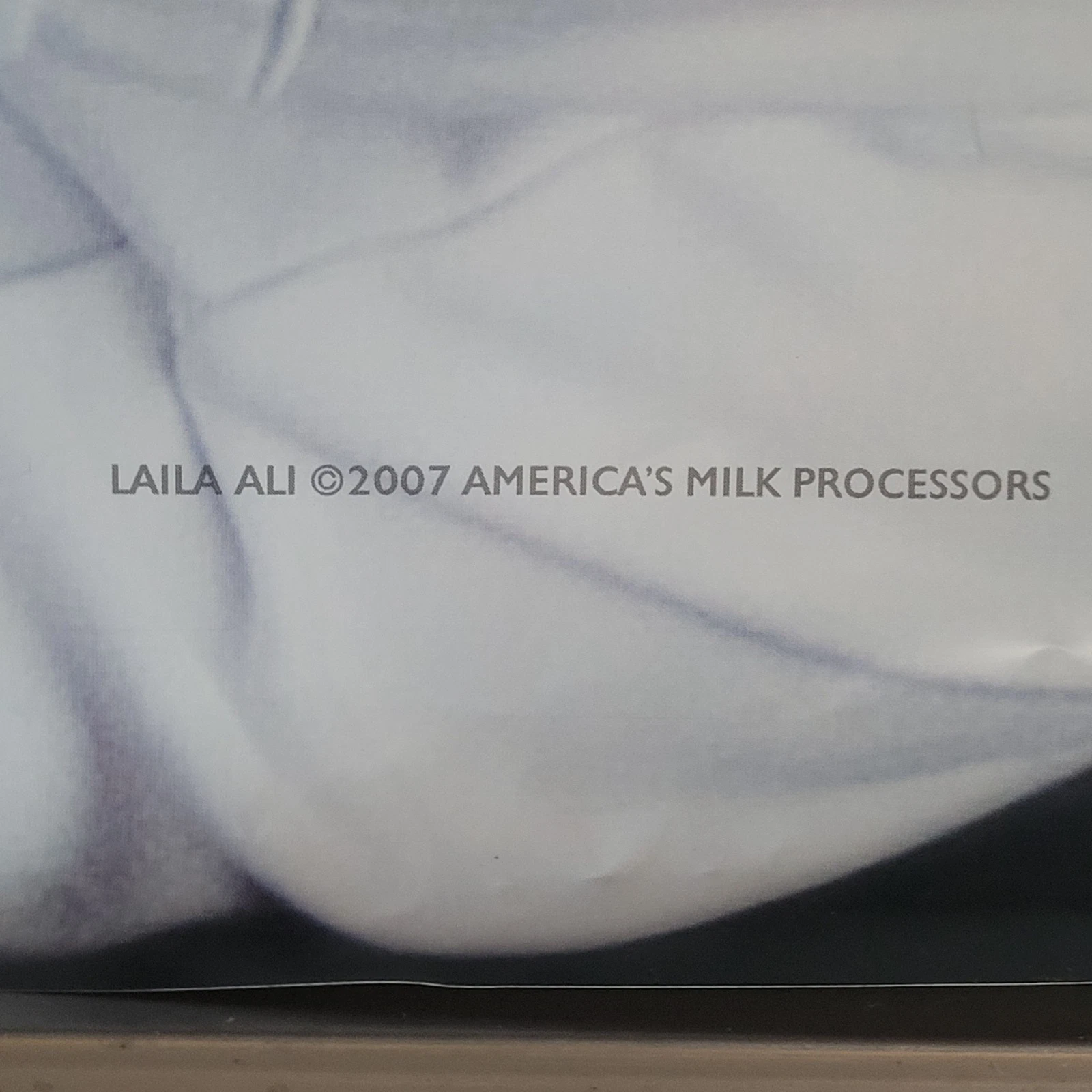 Banner copyright/detail photograph