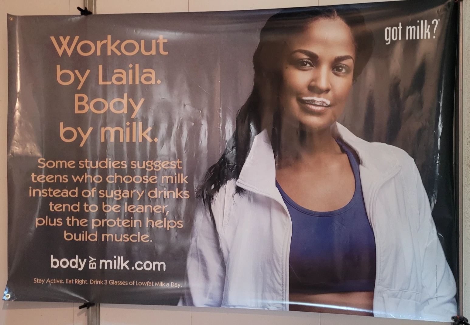 Original 4×6-ft Laila Ali Body by Milk vinyl banner