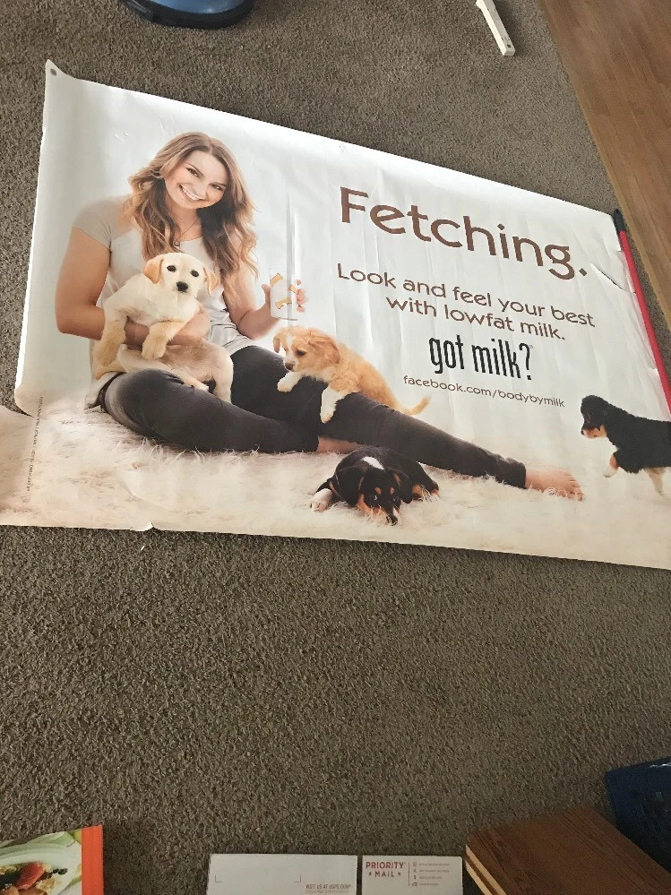 Original 6×4-ft Bridgit Mendler “Fetching.” promotional poster