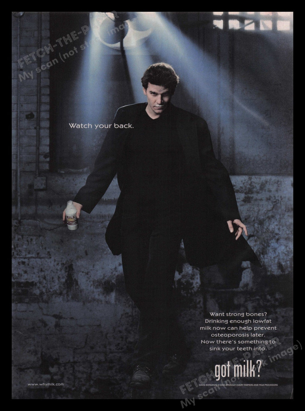 David Boreanaz