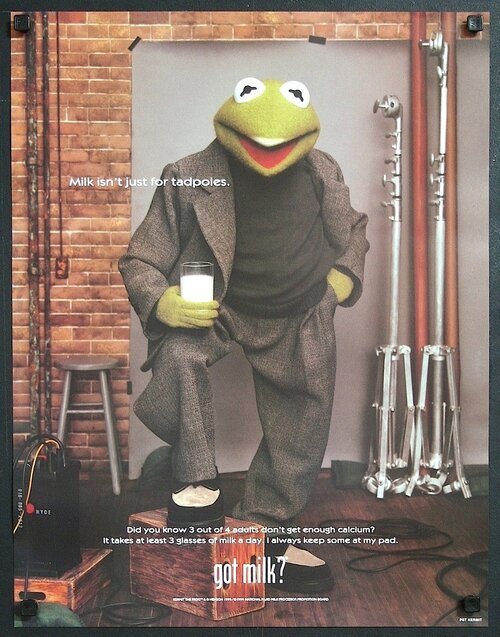 Kermit the Frog — 25×19 display poster