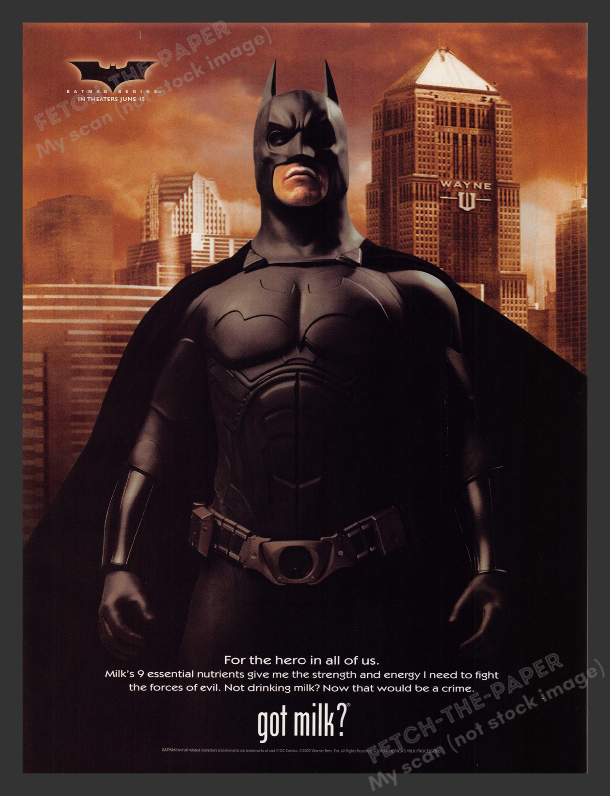 Batman Begins — For the hero in all of us