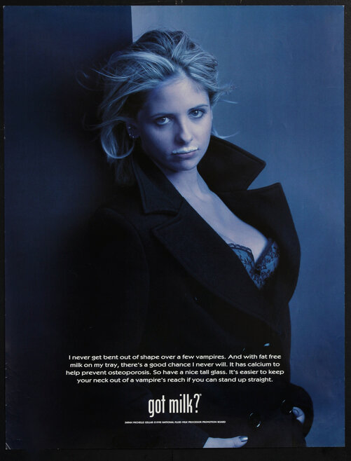 Sarah Michelle Gellar / Buffy the Vampire Slayer — 30×23 poster
