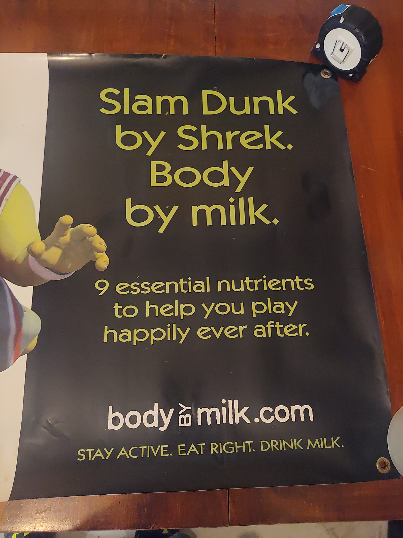 Shrek 36×24 school poster — physical specimen photo 6