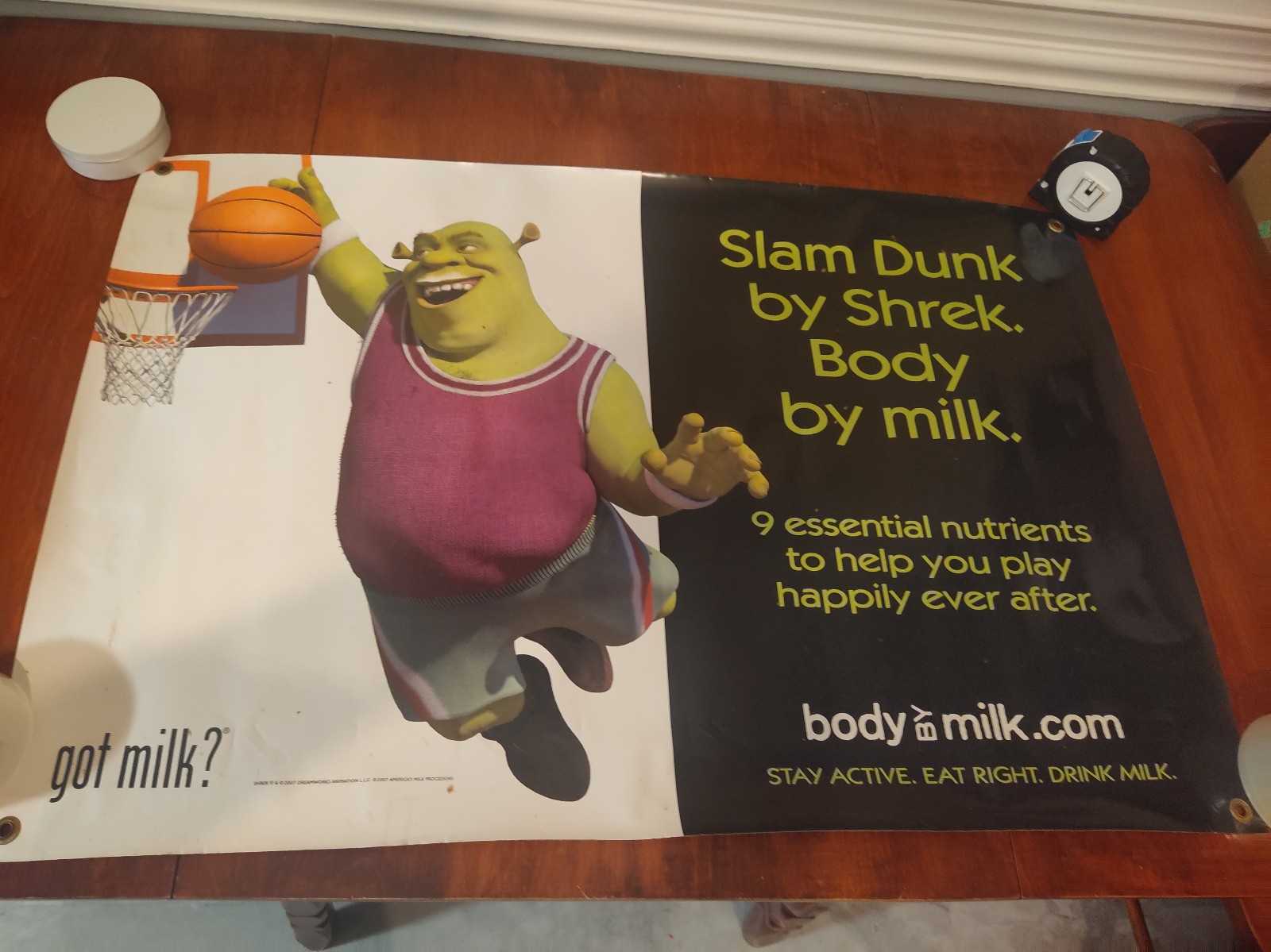 Shrek — School Poster