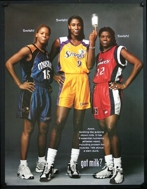 Nikki McCray + Lisa Leslie + Sheryl Swoopes — 30×23 display poster