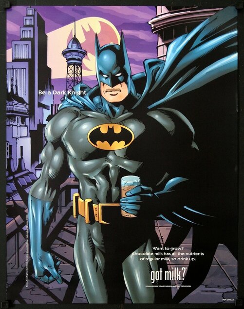 Batman Begins — 30×23 display poster