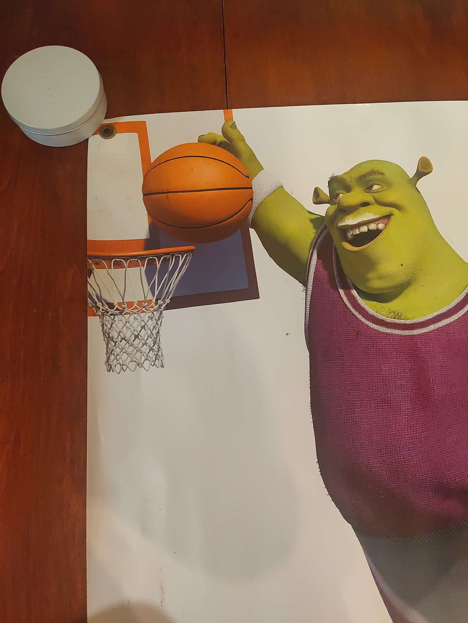 Shrek 36×24 school poster — physical specimen photo 3