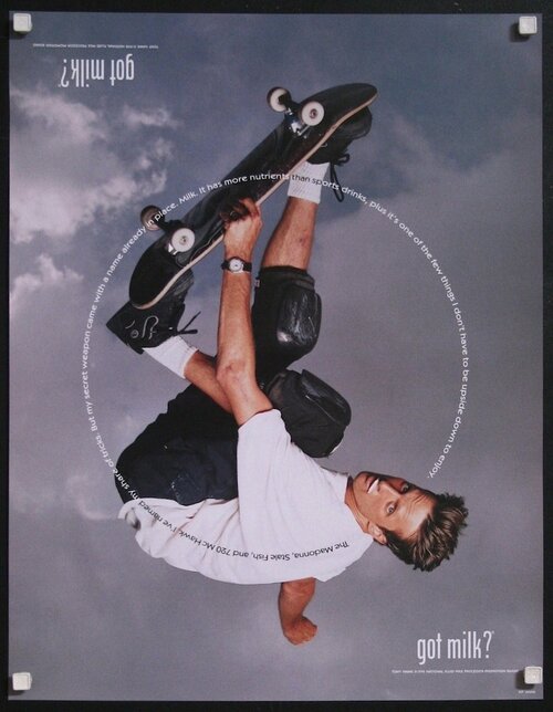 Tony Hawk — 25×19 display poster