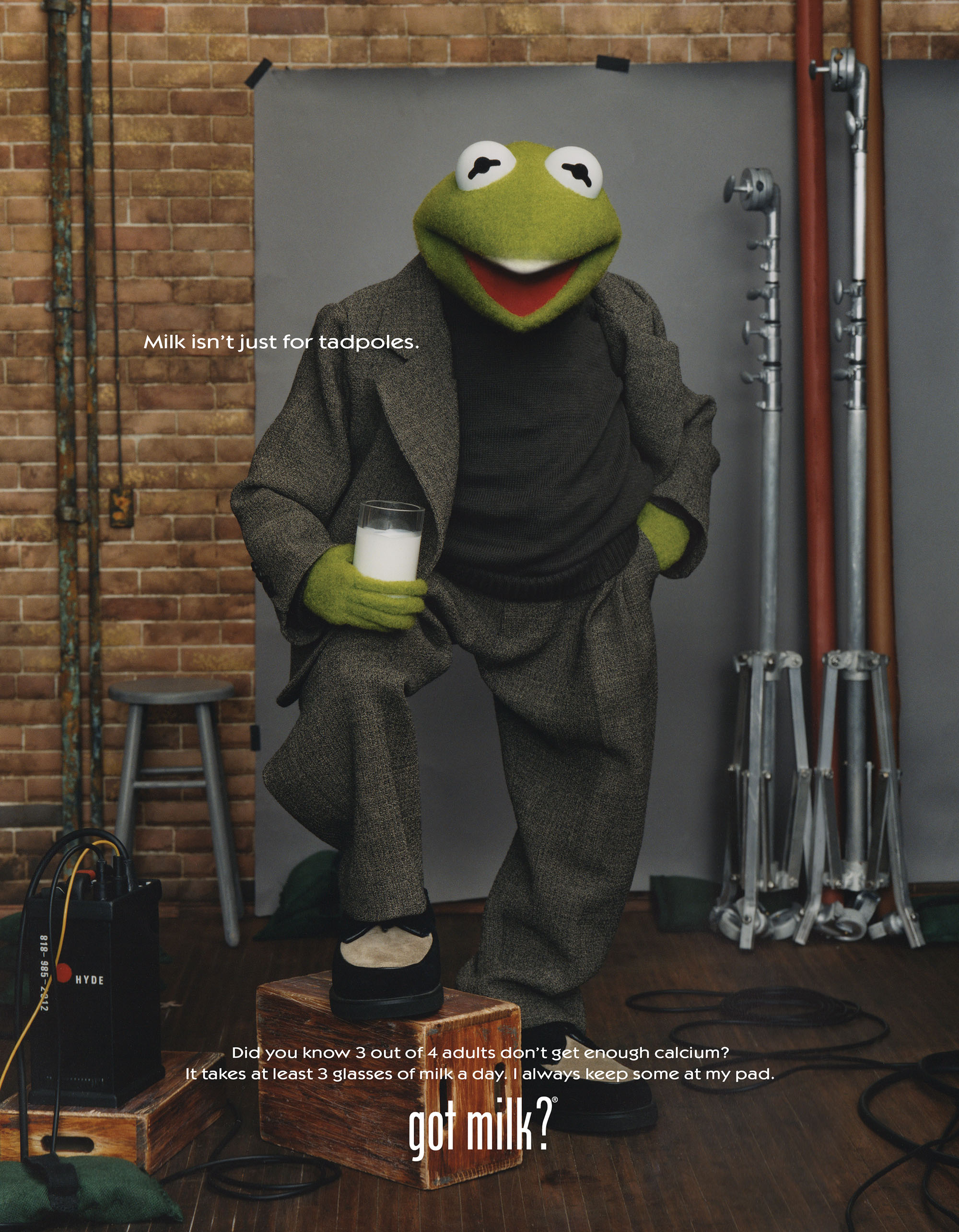 Ranker gallery image — Kermit