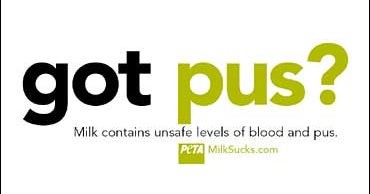 PETA — “got pus?”