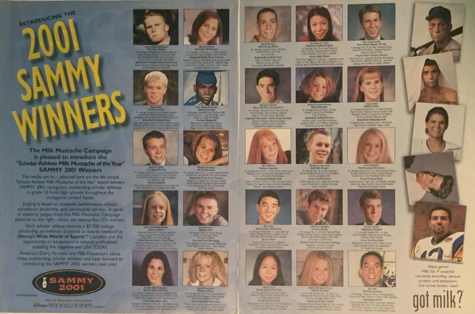 2001 SAMMY Winners
