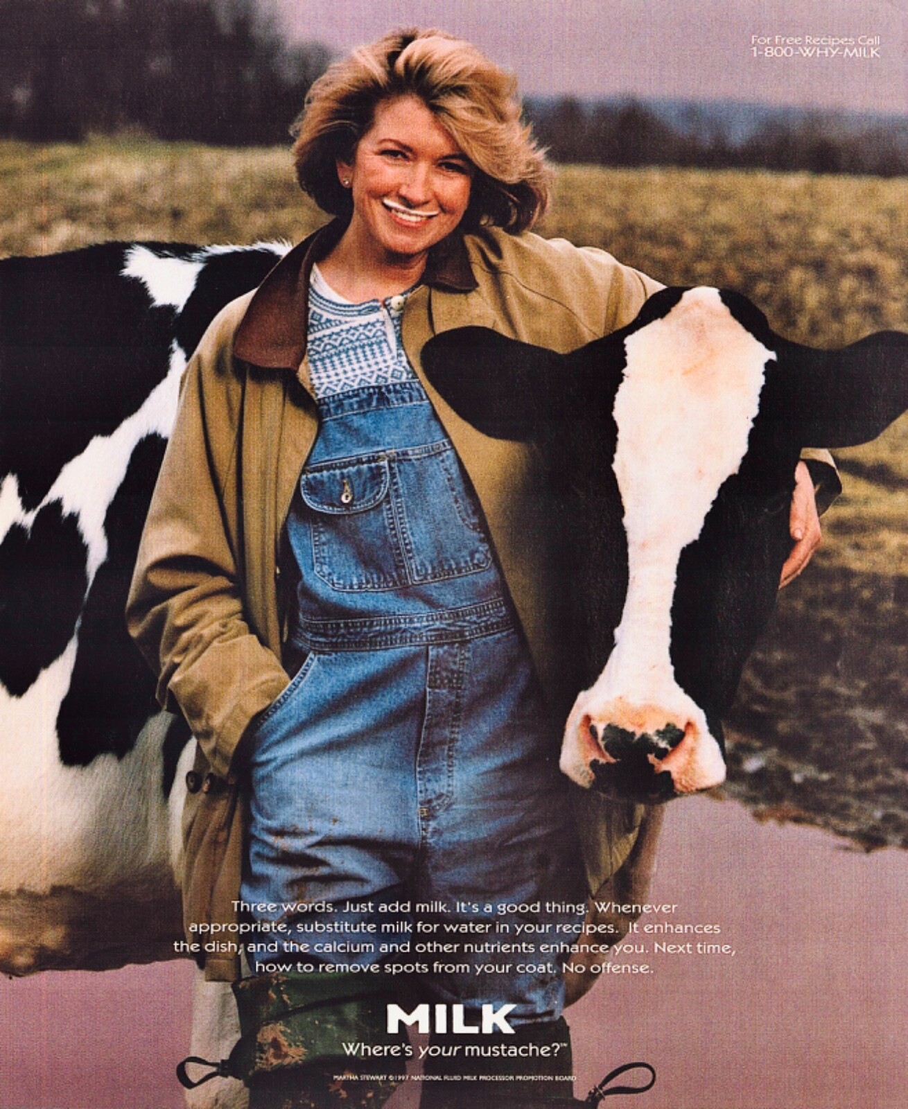 Authentic MWYM + 1-800-WHY-MILK period ad