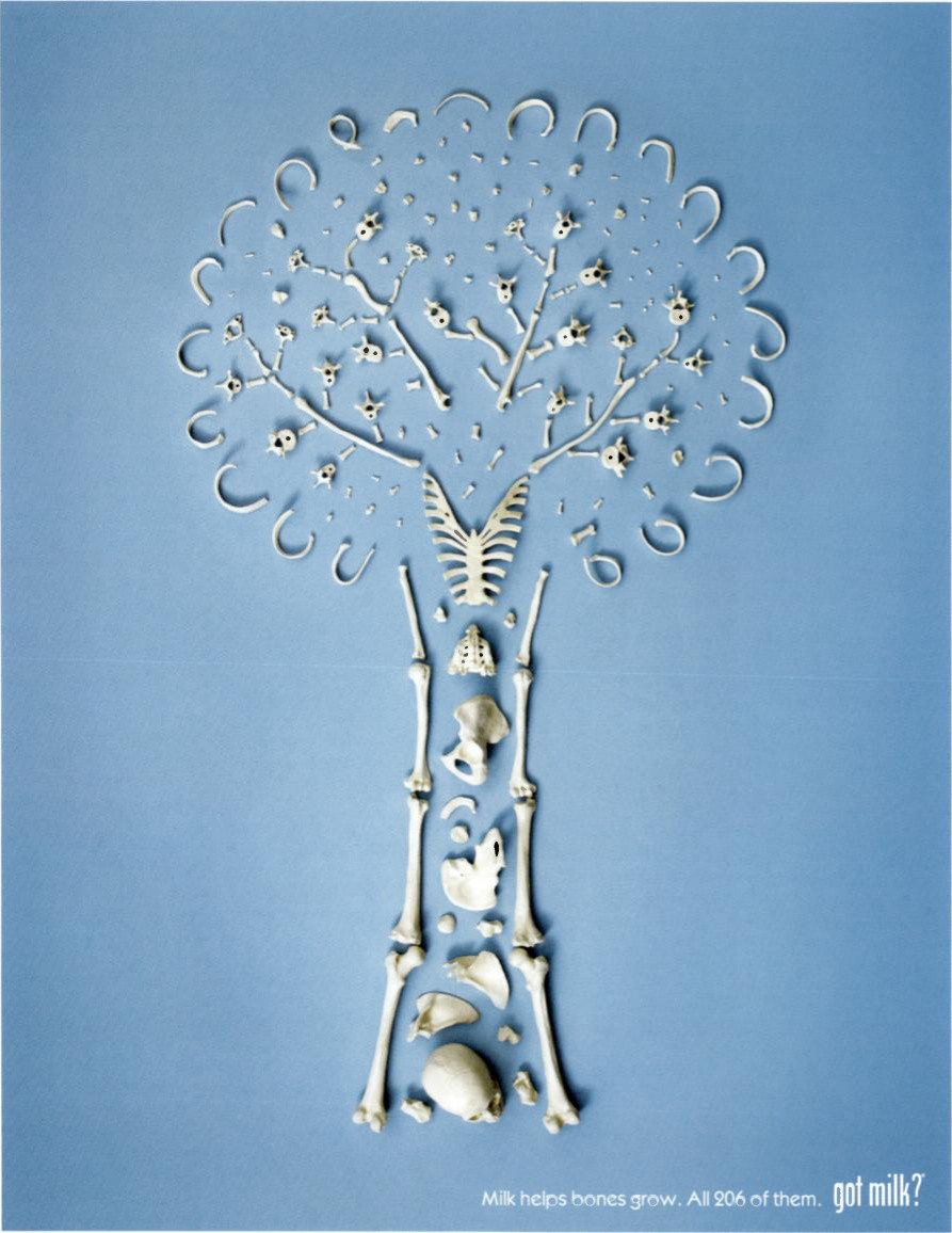 “Milk helps bones grow. All 206 of them.” — skeleton outdoor campaign