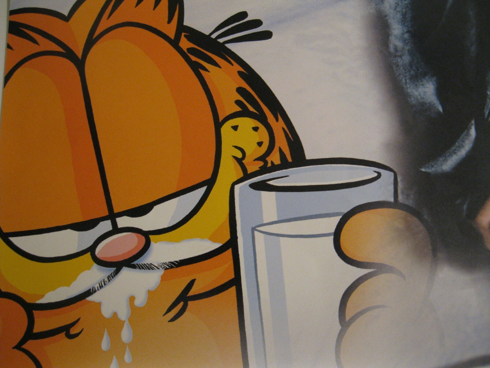 Detail — Garfield