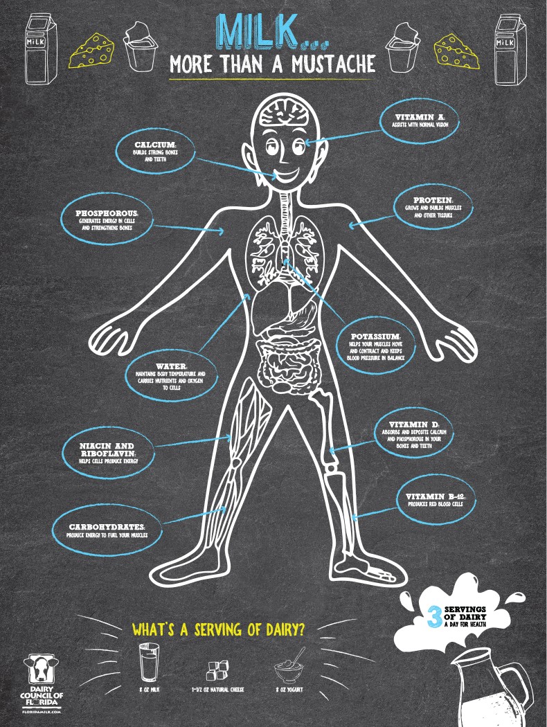 Dairy Council of Florida — “Milk… More Than a Mustache” school poster