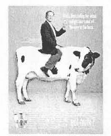 Richard V. Schibler trade ad (man seated on a cow)