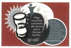 Hispanic advertisements, 2005 (USDA report)