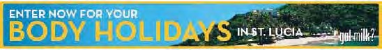Body Holidays in St. Lucia sweepstakes web banners, 2007 (USDA report)