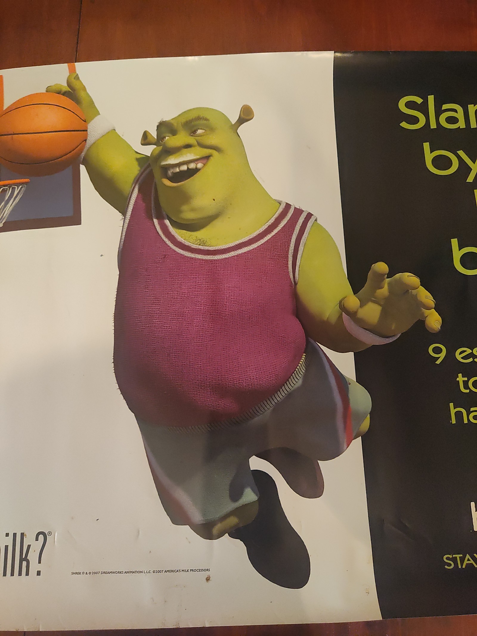 Shrek 36×24 school poster — physical specimen photo 2