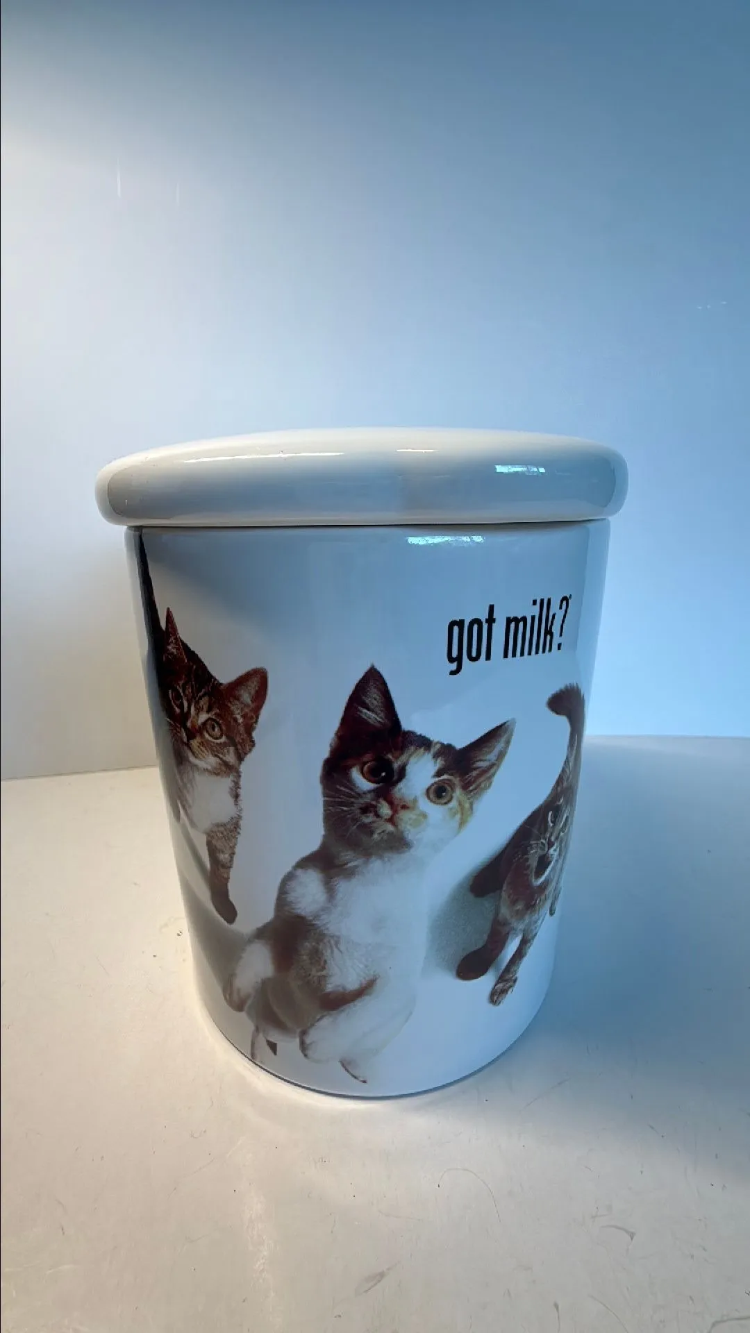 got milk? Kitten Ceramic Cookie Jar (At Home International)