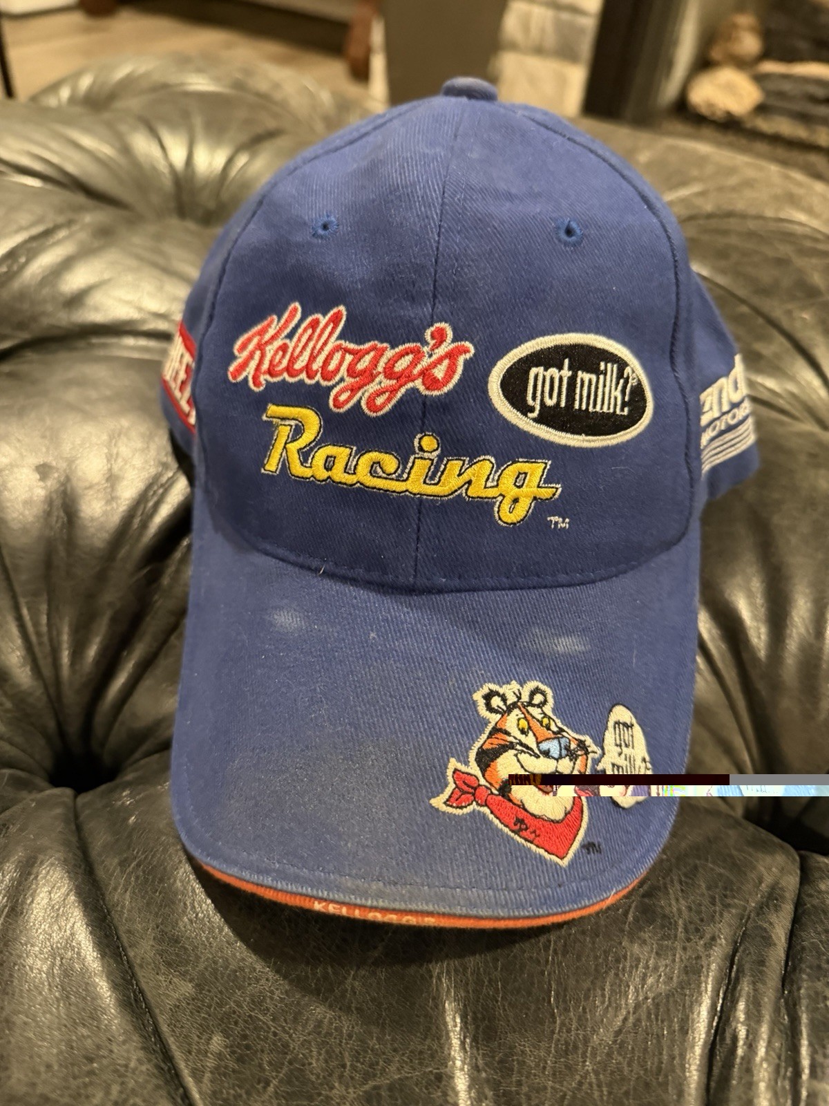 got milk / Kellogg's Terry Labonte #5 NASCAR Cap