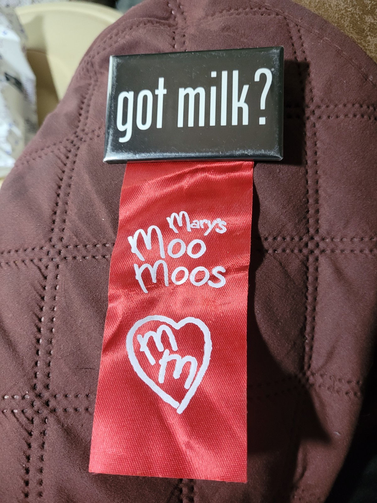 Mary's Moo Moos Got Milk Pinback Button