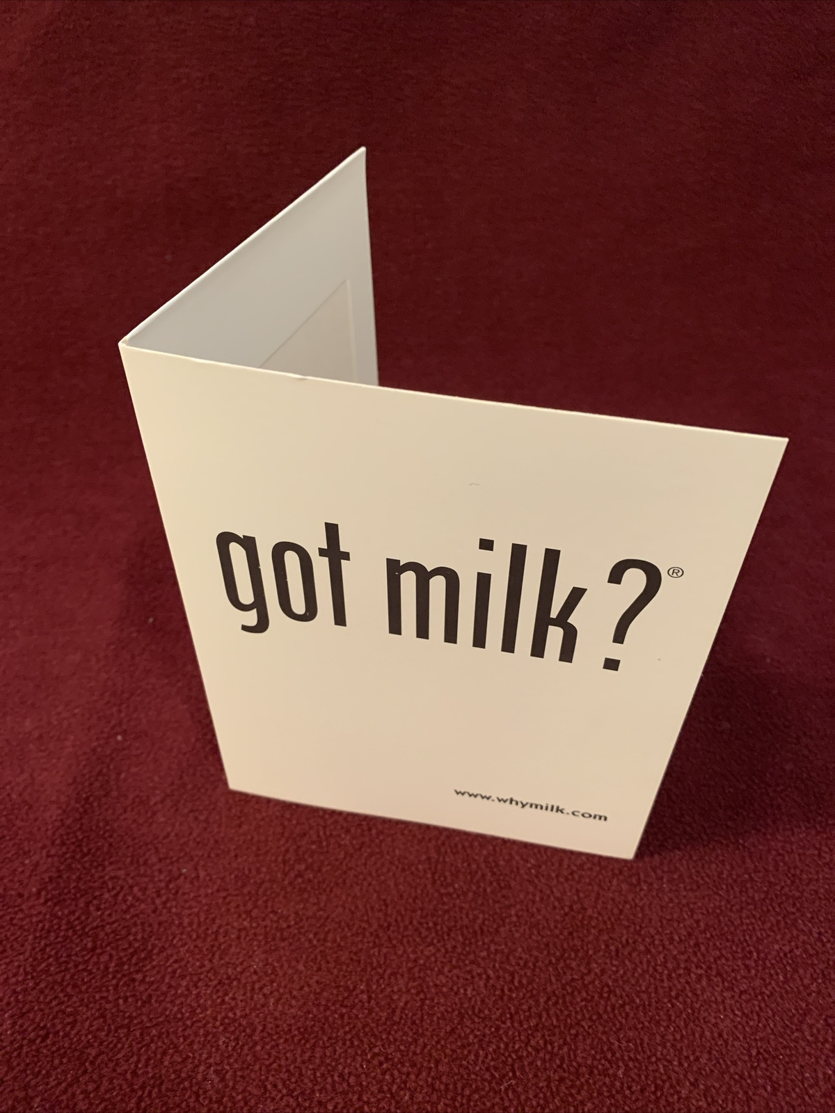 got milk? Cardboard Polaroid Photo Holder/Frame