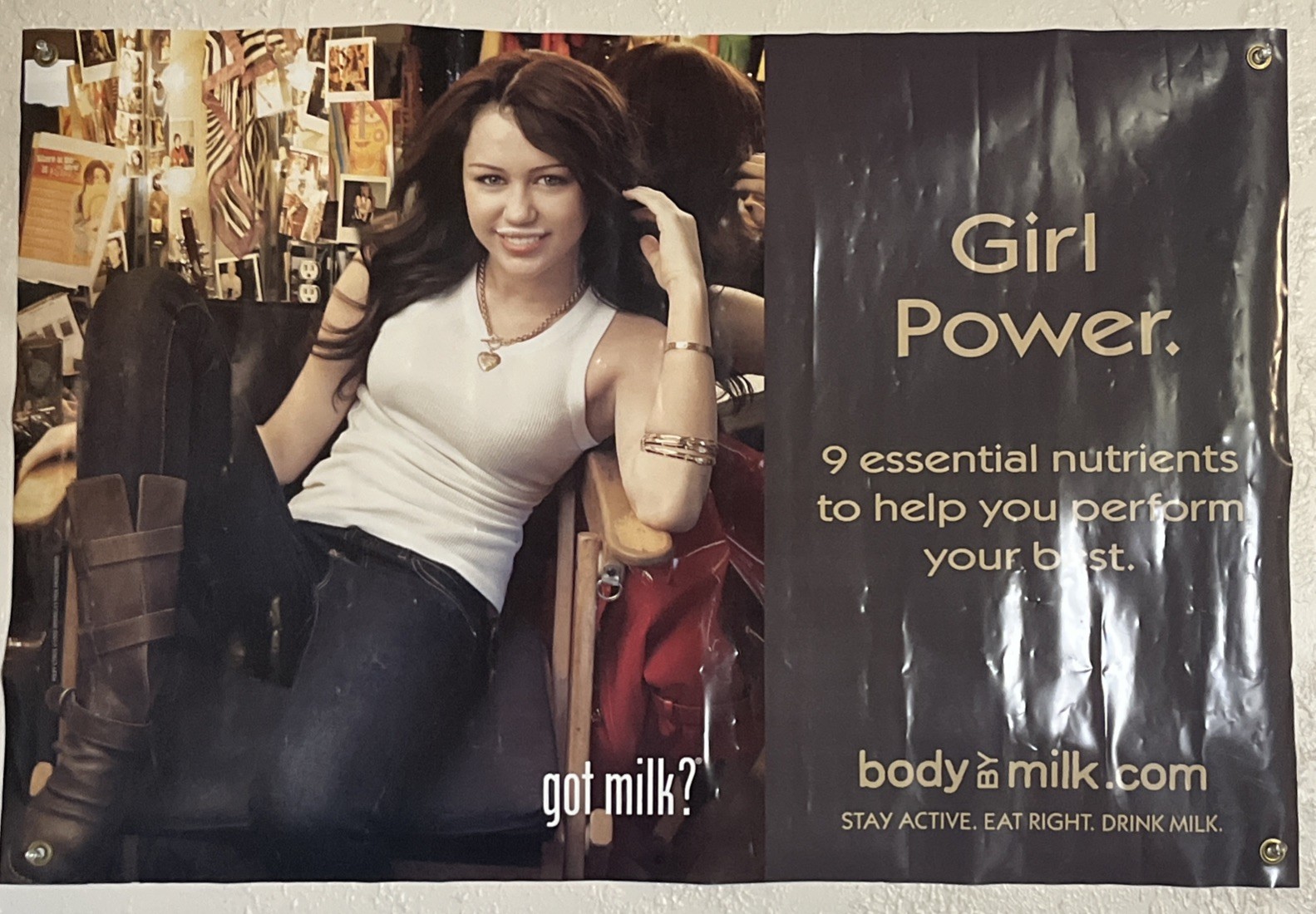 got milk? Miley Cyrus "Girl Power" Vinyl POS Banner