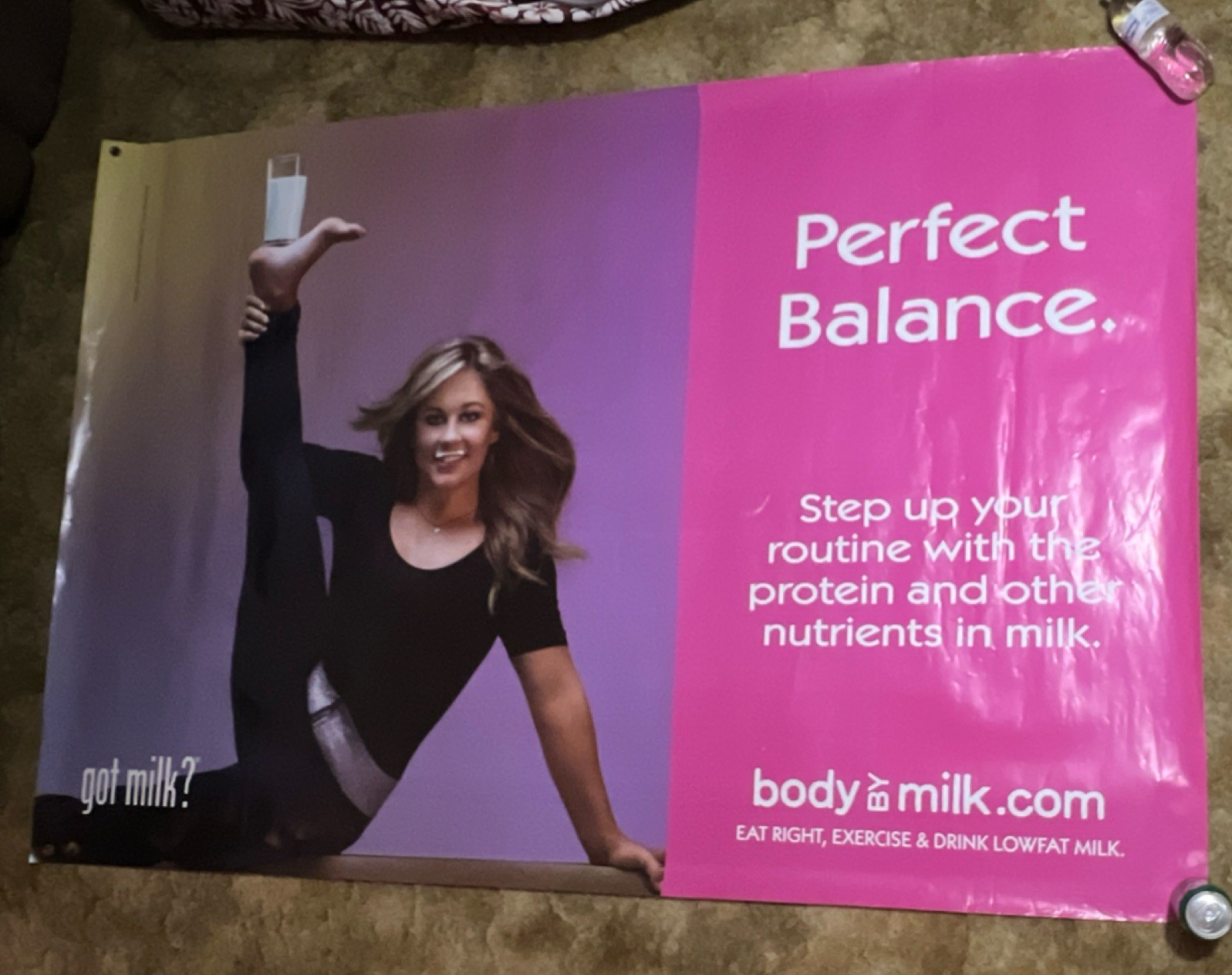 got milk? Shawn Johnson 'Perfect Balance' Vinyl POS Banner (body by milk)