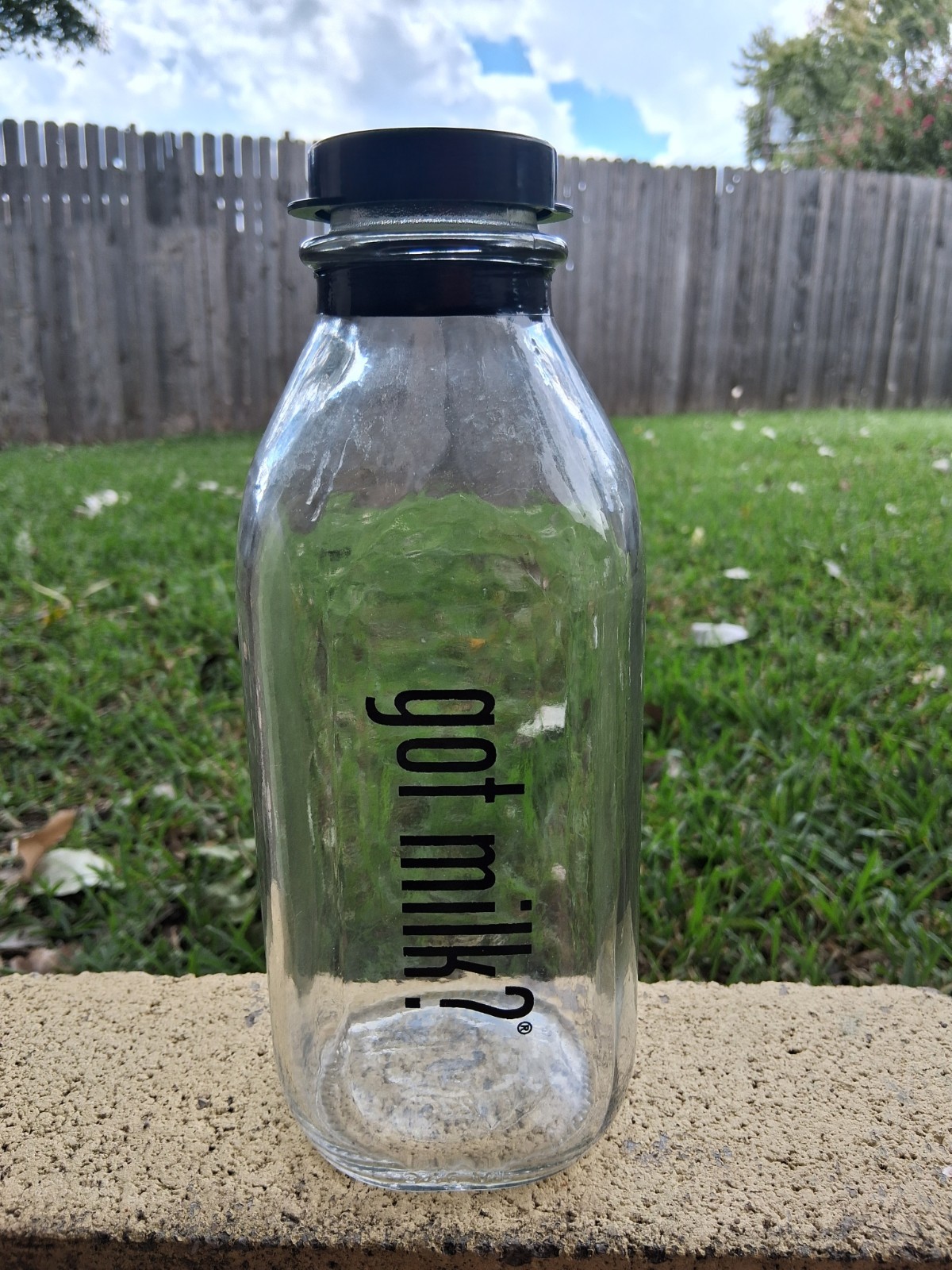 got milk? Glass Milk Bottle Coin Bank (Stan Pak)