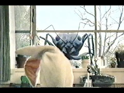 got milk? — the giant ant