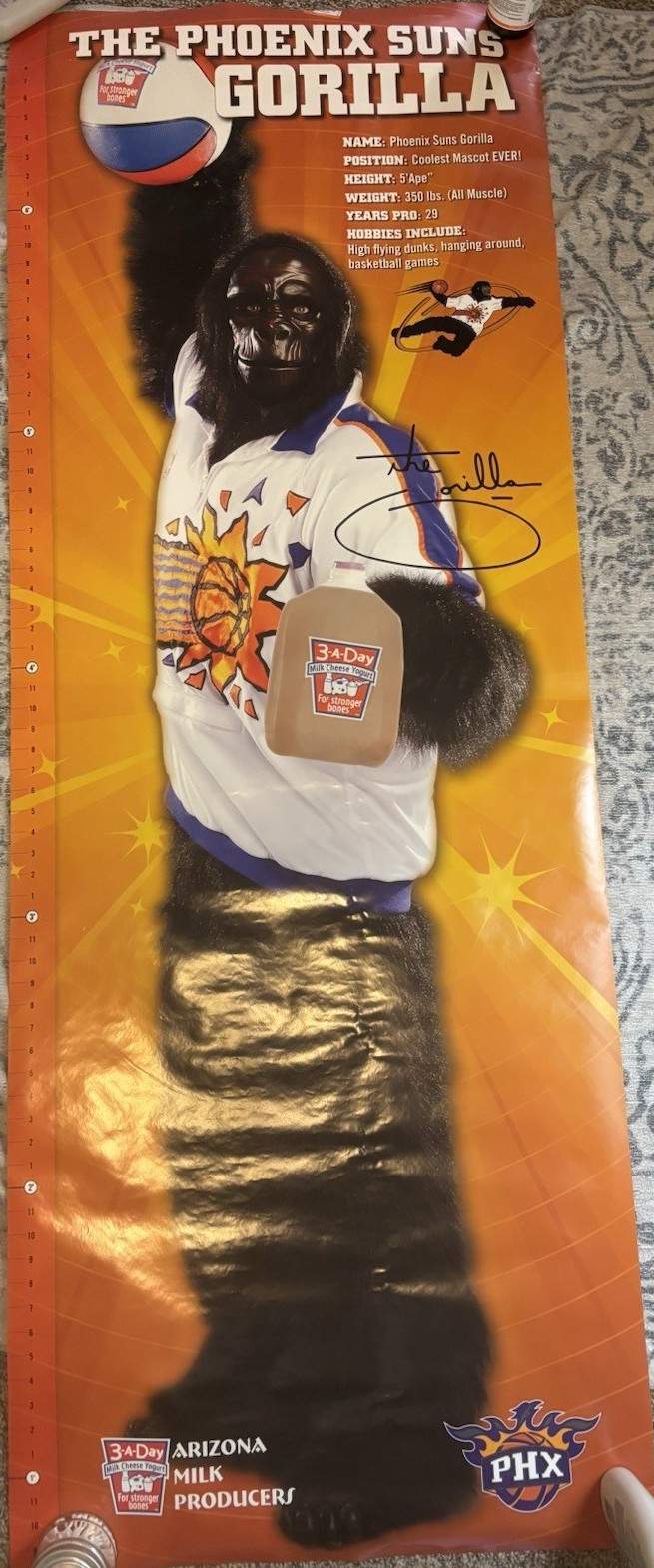 Phoenix Suns Gorilla 3-A-Day growth chart