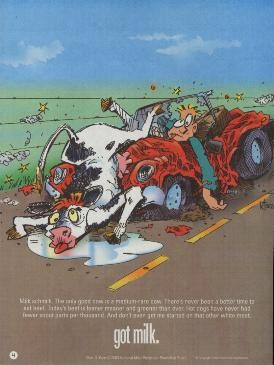 “got milk.” beef parody (cow hit by a car)