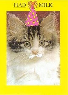 “HAD MILK” postcard: kitten in a party hat